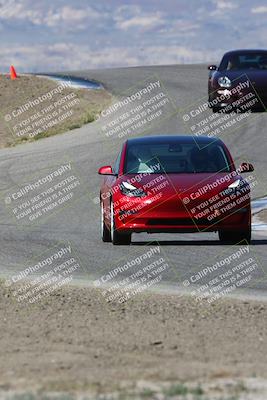 media/Apr-28-2024-Speed SF (Sun) [[c704f5d5b5]]/Blue/Phil Hill/